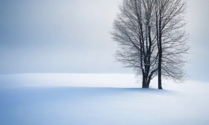Wenkův obchodní dům – winter