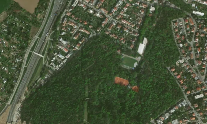 Wilsonův les – letecký pohled