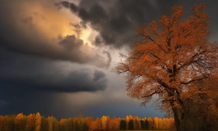 Zámeček Dolní Tošanovice – autumn