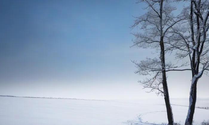 Zámeček Dolní Tošanovice – winter