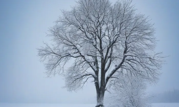 Zámeček Horní Těrlicko – winter