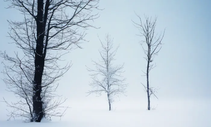 Zámeček Pachtů z Rájova – winter