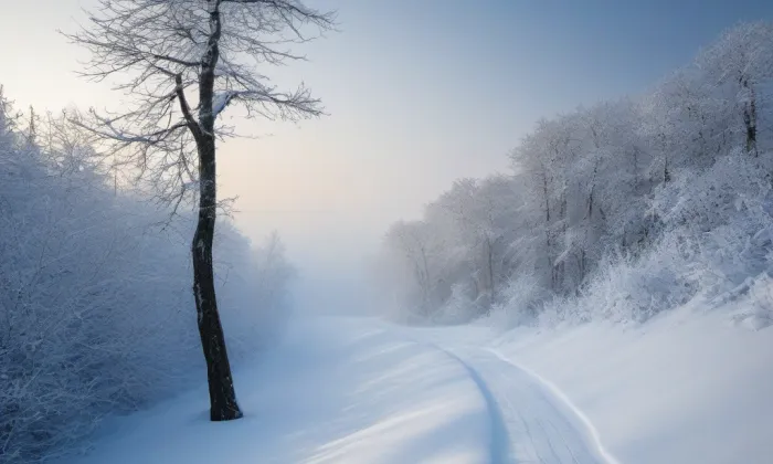 Zámeček Pohansko – winter