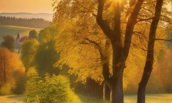 zámeček Sedlec – summer