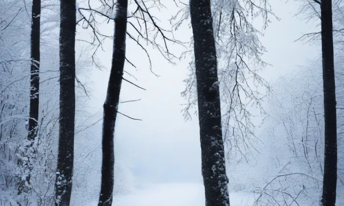 Zámecké parky v Lysé nad Labem – winter