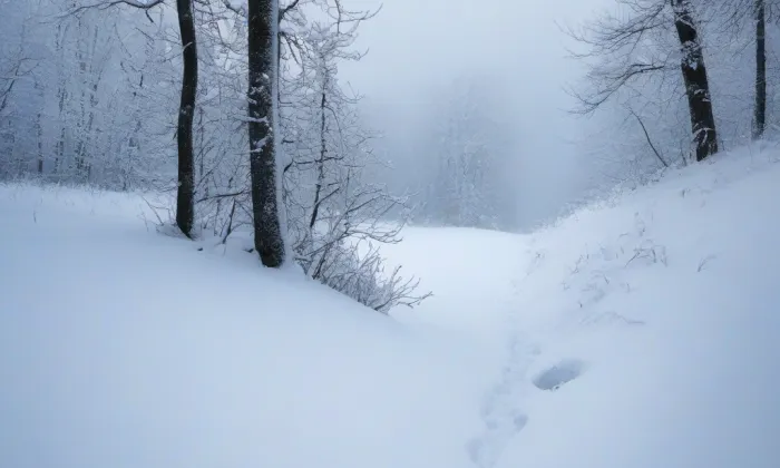 Zámek Žáky – winter
