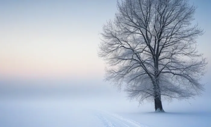 Zámek Červené Pečky – winter