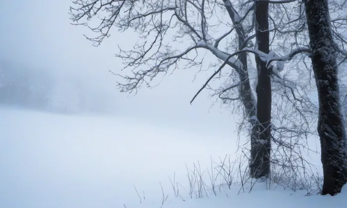 zámek Adamov – winter