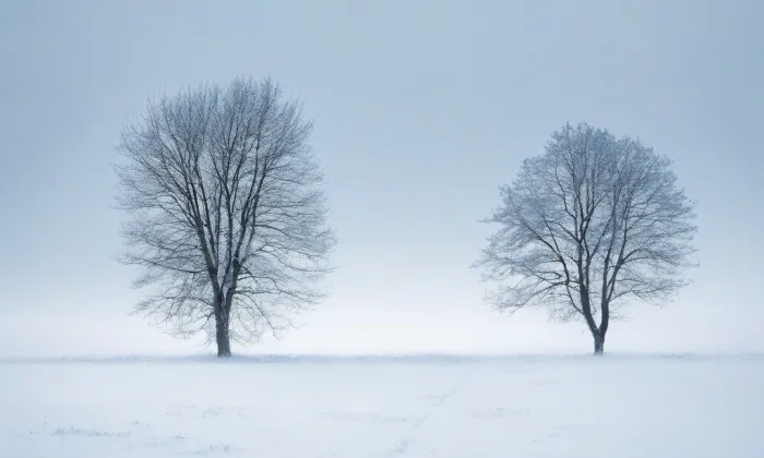 zámek Březina – winter