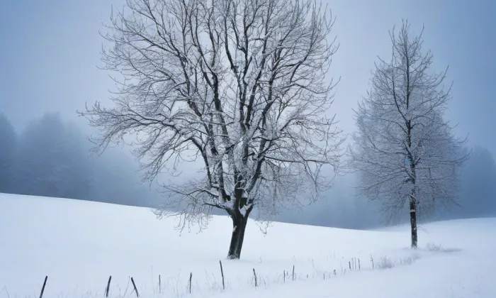 Zámek Barchov – winter