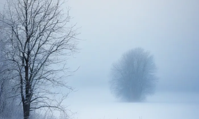 zámek Budišov – winter