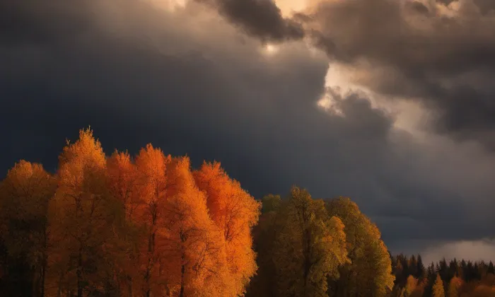 zámek Buková u Příbramě – autumn