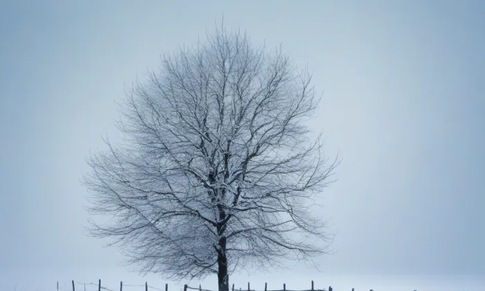 zámek Dřevohostice – winter