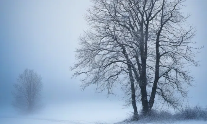 Zámek Dobrohoř – winter