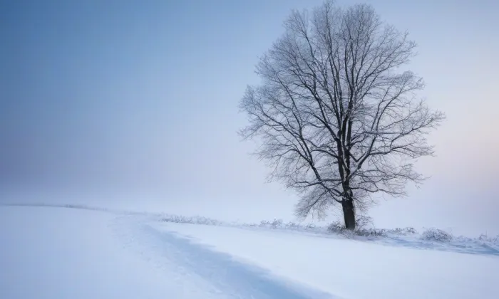 Zámek Dolní Břežany – winter