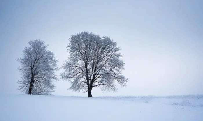 zámek Drnovice – winter