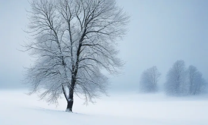 Zámek Frýdek – winter