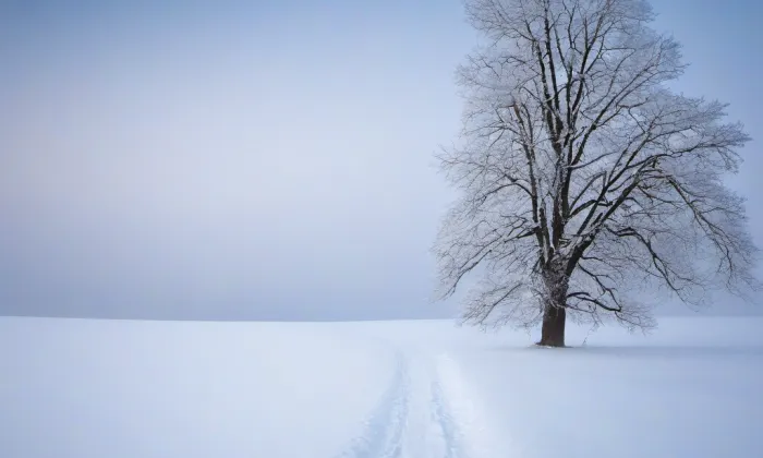 zámek Hlubočepy – winter