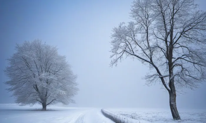 zámek Hostačov – winter