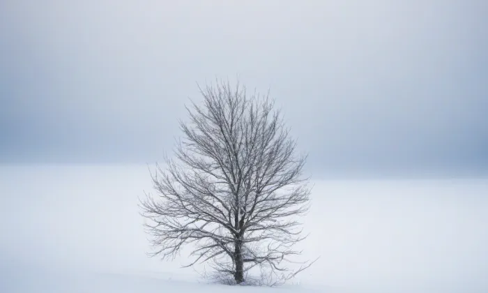 zámek Hustopeče nad Bečvou – winter