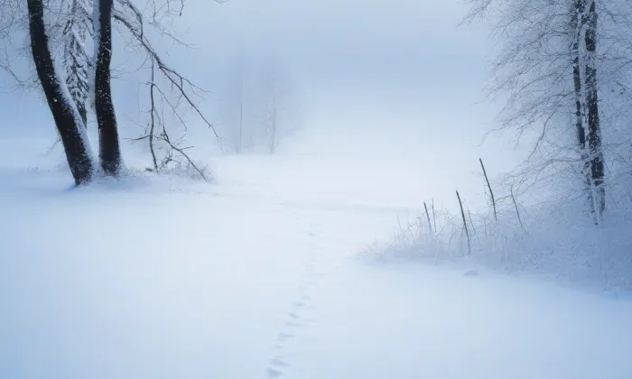 Zámek Jablonná – winter