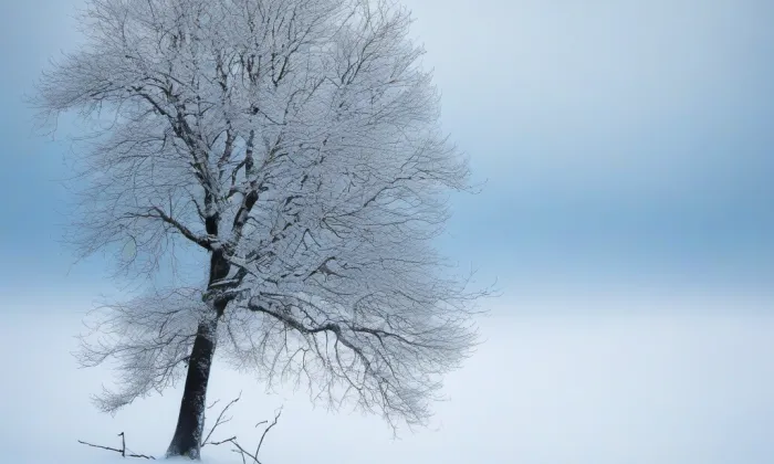 zámek Jaroslavice – winter