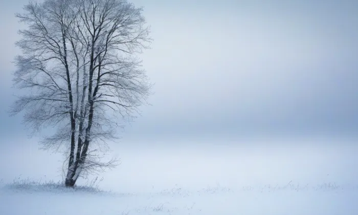 zámek Jemčina – winter