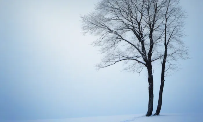 zámek Jirny – winter