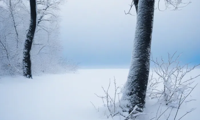 zámek Kácov – winter
