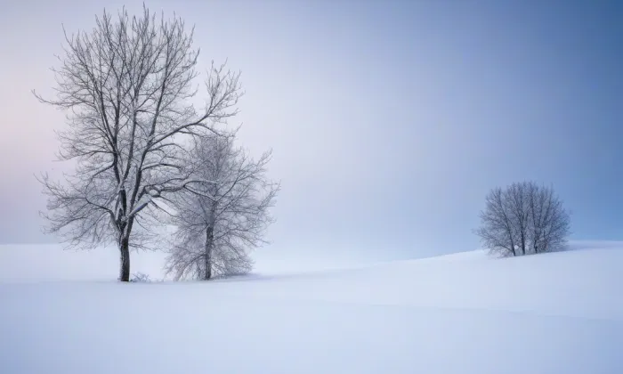 zámek Komořany – winter