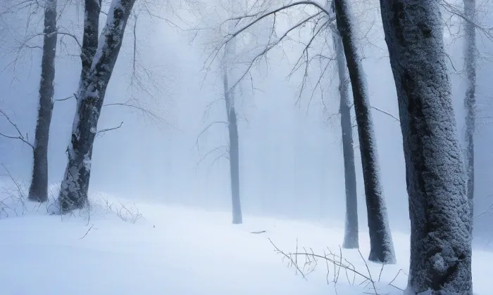 zámek Kostelec nad Černými lesy – winter