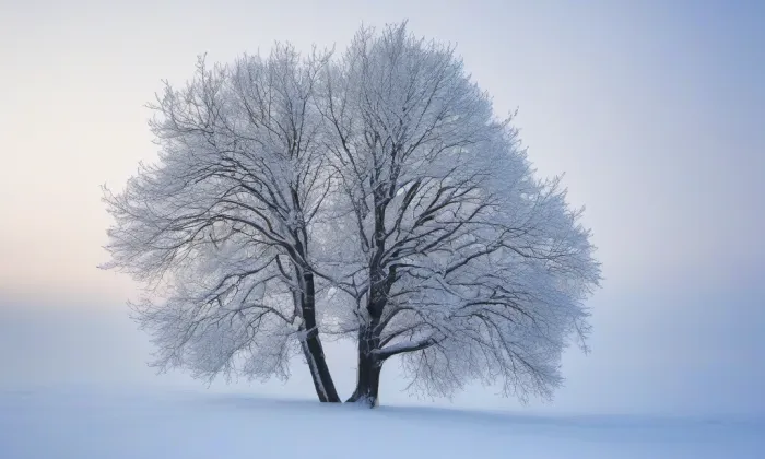 zámek Krásné Březno – winter