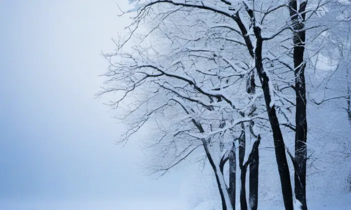 zámek Kravaře – winter