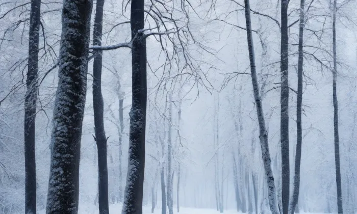 zámek Lesní Hluboké – winter