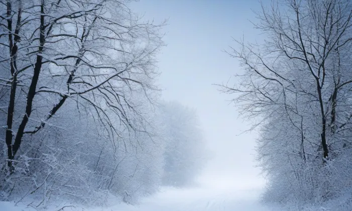zámek Letovice – winter