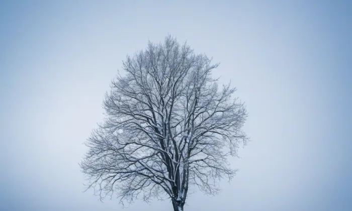 Zámek Lhotka – winter