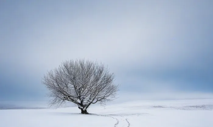 zámek Litohoř – winter