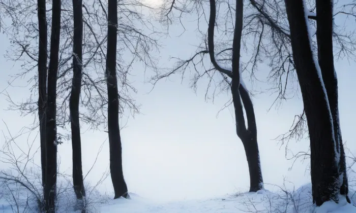 zámek Litvínov – winter