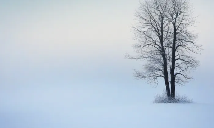 zámek Měšice – winter