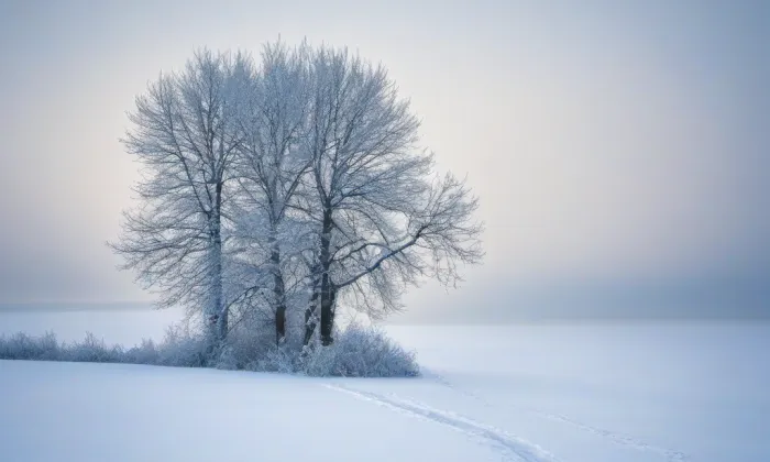 zámek Malešice (Malesice) – winter