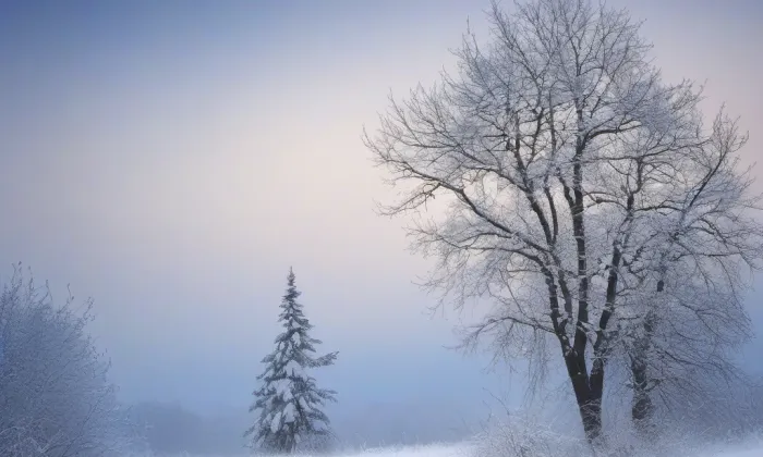 Zámek Miletín – winter