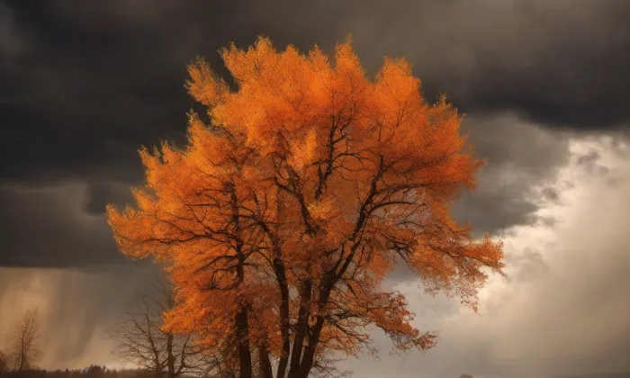 zámek Mostek – autumn