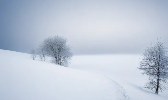 zámek Nalžovy – winter
