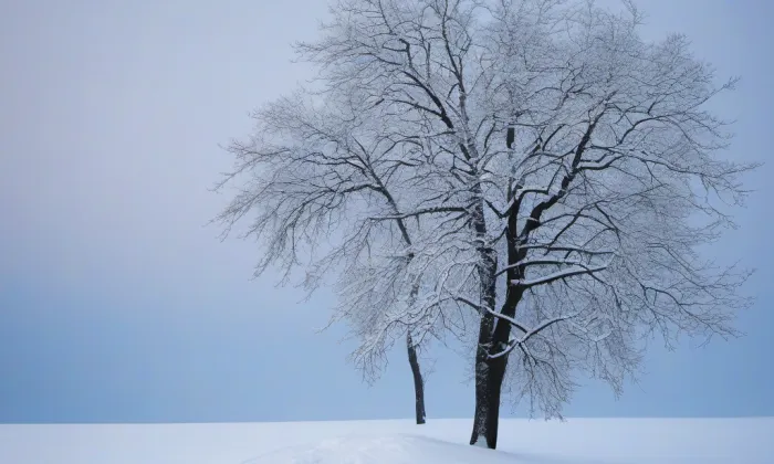 zámek Nečtiny – winter