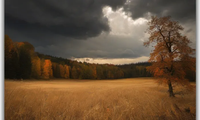 Zámek Neplachovice – autumn