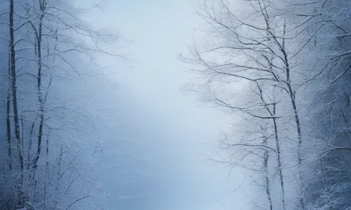 zámek Nový Dvůr (Nový Dvůr) – winter