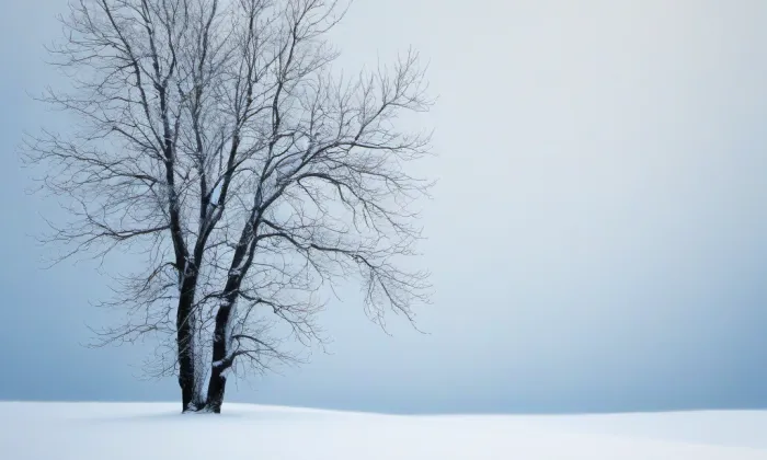 Zámek Nový Haimhausen – winter