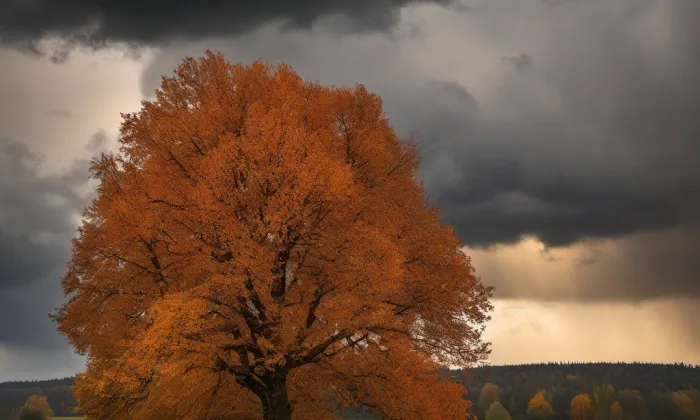 zámek Opava – autumn
