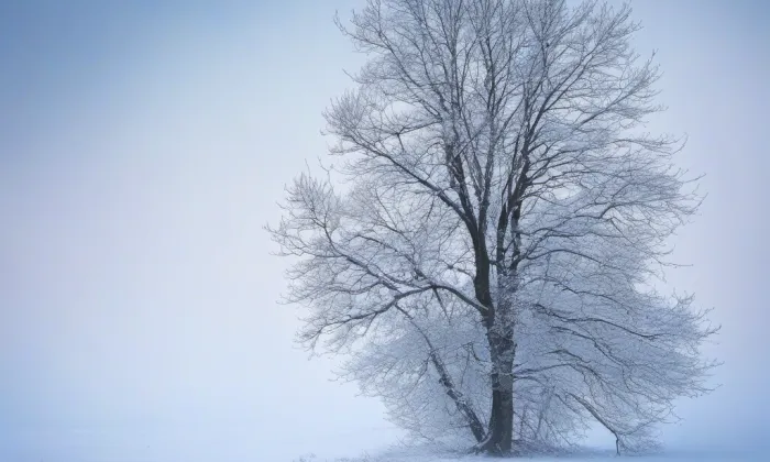 zámek Osvračín – winter