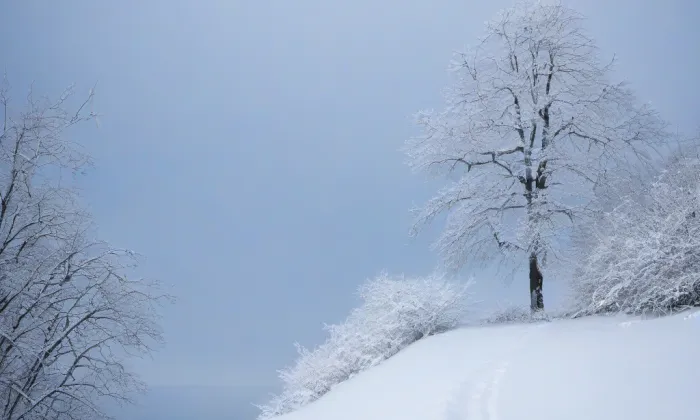 Zámek Přestavlky (Přestavlky) – winter